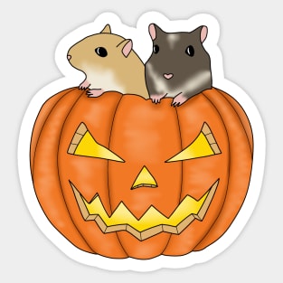 Two cute gerbils in a pumpkin Sticker